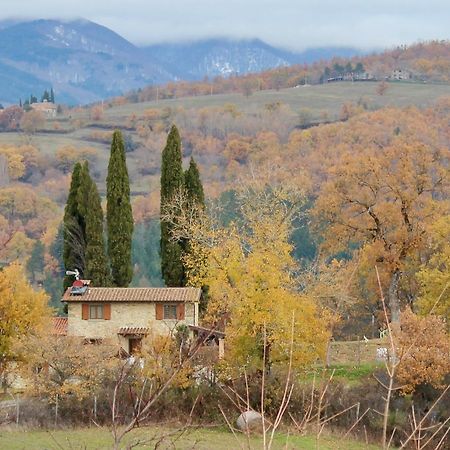 Agriturismo Mandrioli Pratovecchio Buitenkant foto