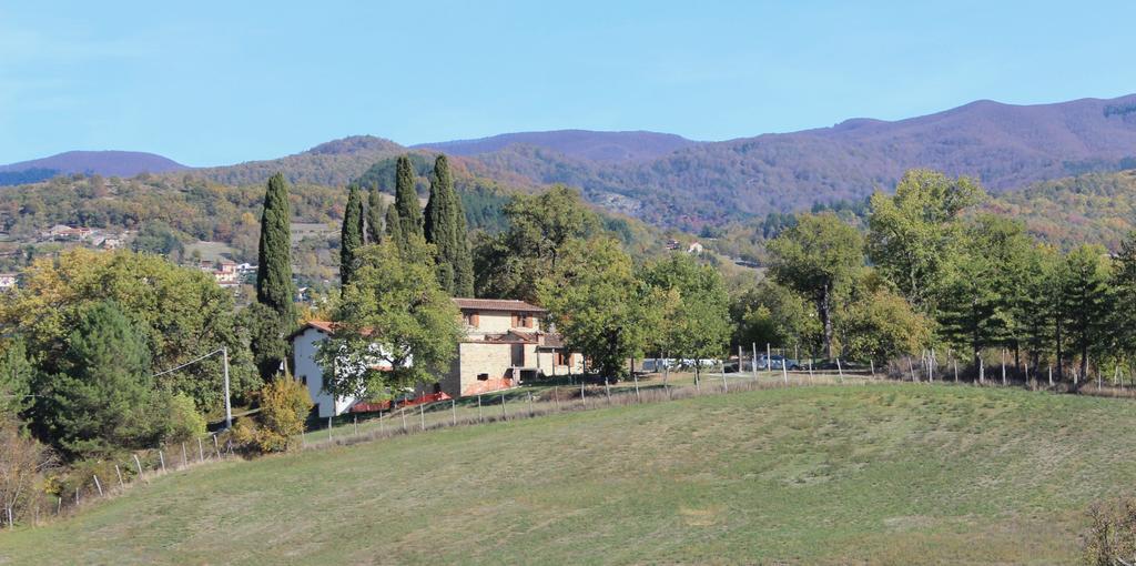 Agriturismo Mandrioli Pratovecchio Buitenkant foto