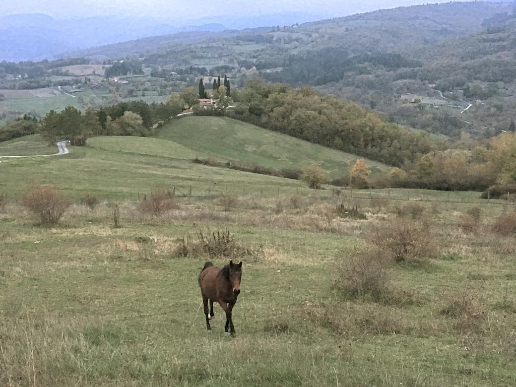 Agriturismo Mandrioli Pratovecchio Buitenkant foto